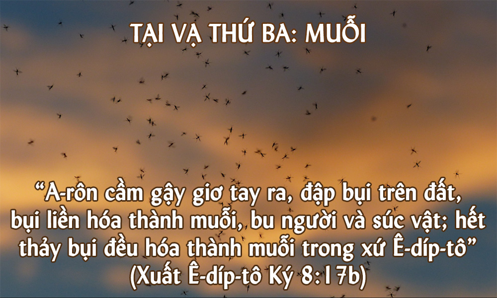img.php?id=MjAxODEwMzBfTWFpbi5qcGc=