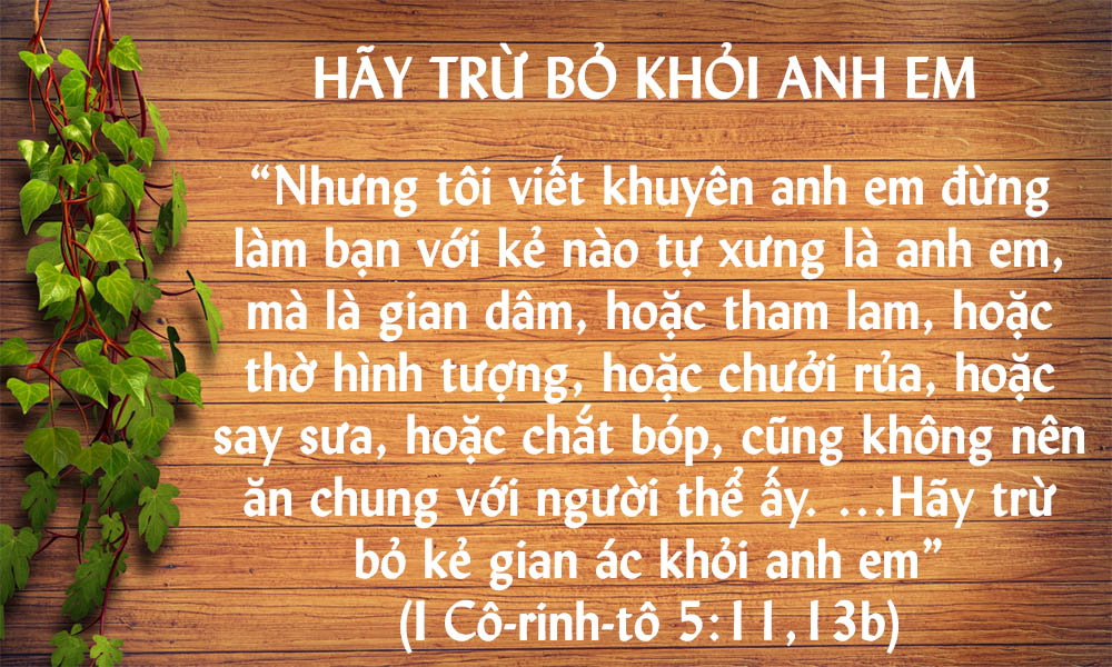 img.php?id=MjAxODExMjdfTWFpbi5qcGc=