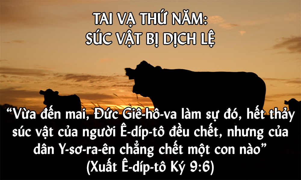 img.php?id=MjAxODExMjlfTWFpbi5qcGc=