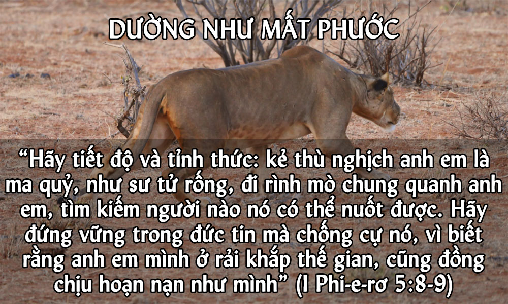 img.php?id=MjAxODEyMDJfTWFpbi5qcGc=