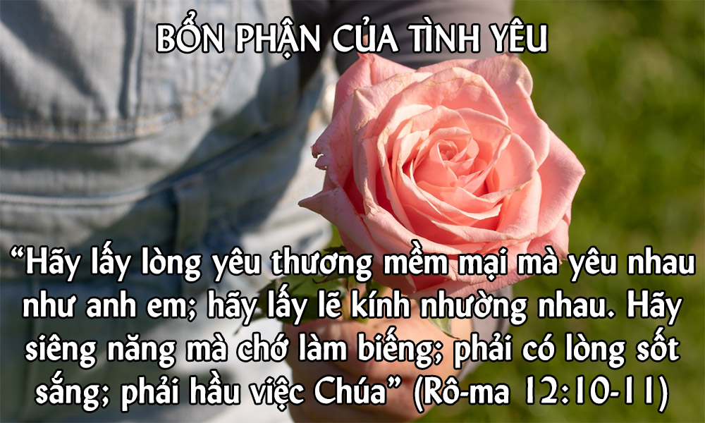 img.php?id=MjAxODEyMDhfTWFpbi5qcGc=