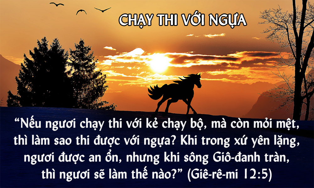 img.php?id=MjAxOTA1MjBfTWFpbi5qcGc=