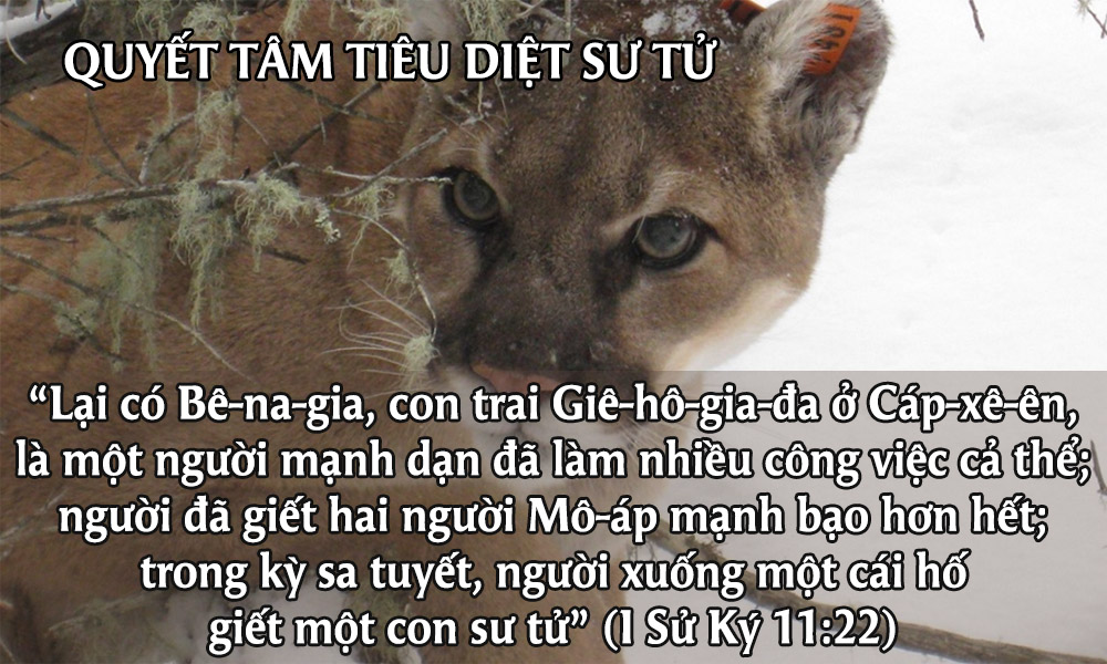 img.php?id=MjAxOTAzMjdfTWFpbi5qcGc=