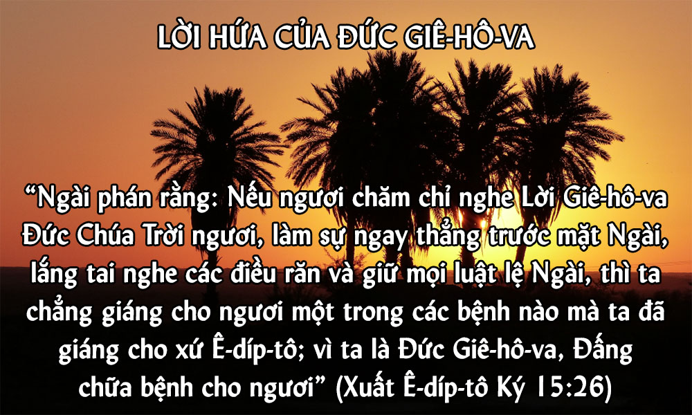 img.php?id=MjAxOTExMjlfTWFpbi5qcGc=